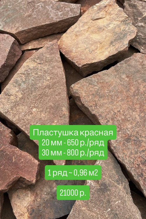 Пластушка красная