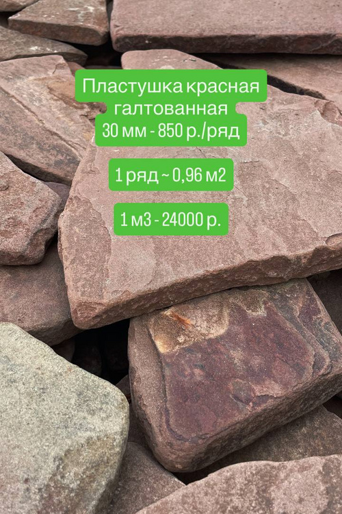 Пластушка красная галтованная