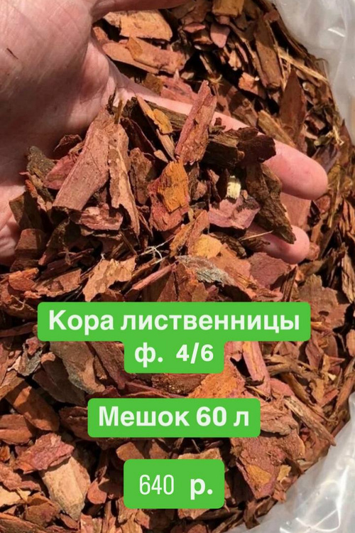 Кора лиственницы