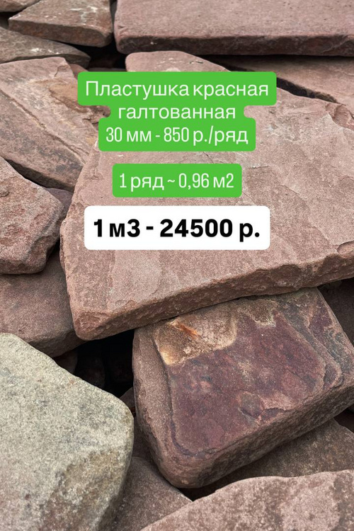 Пластушка красная галтованная